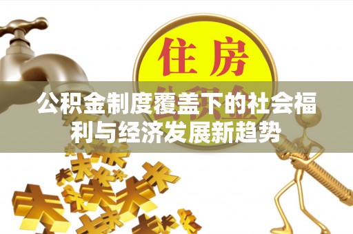 服务公积金制度覆盖下的社会福利与经济发展新趋势