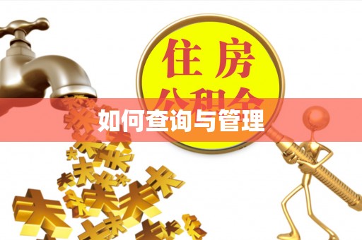 服务如何查询与管理