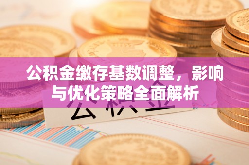 服务公积金缴存基数调整，影响与优化策略全面解析