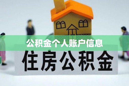 服务公积金个人账户信息
