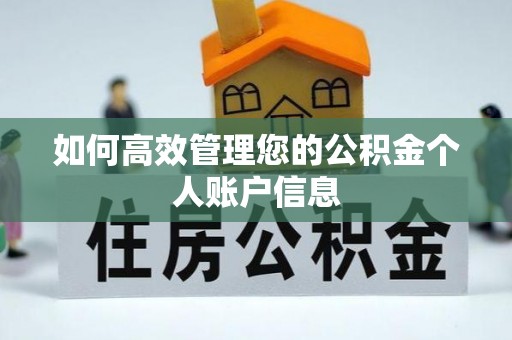 服务如何高效管理您的公积金个人账户信息