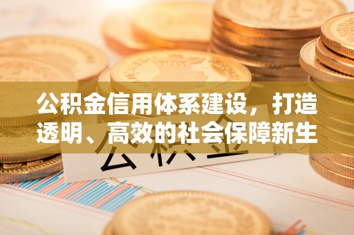 服务公积金信用体系建设，打造透明、高效的社会保障新生态