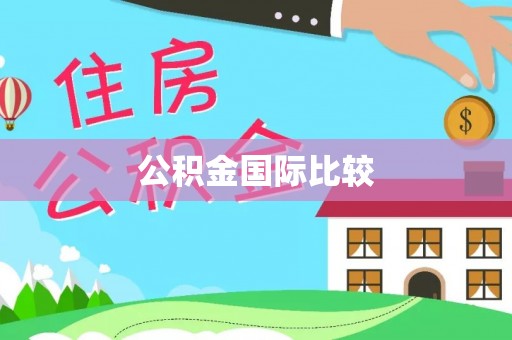 服务公积金国际比较
