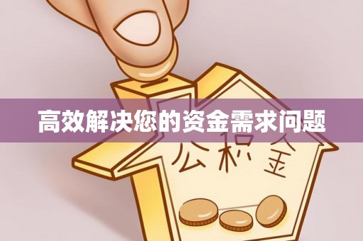 服务高效解决您的资金需求问题