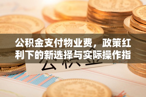 服务公积金支付物业费，政策红利下的新选择与实际操作指南