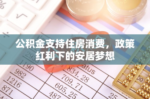 服务公积金支持住房消费，政策红利下的安居梦想