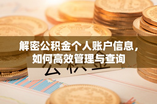 服务解密公积金个人账户信息，如何高效管理与查询
