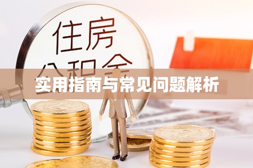 服务实用指南与常见问题解析