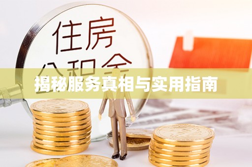 服务揭秘服务真相与实用指南
