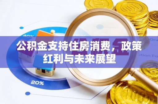 服务公积金支持住房消费，政策红利与未来展望