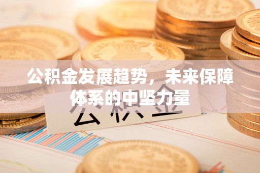 服务公积金发展趋势，未来保障体系的中坚力量