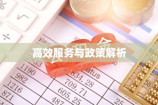 服务高效服务与政策解析