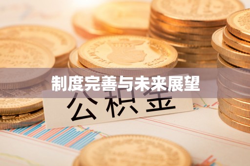 服务制度完善与未来展望