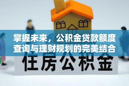 服务掌握未来，公积金贷款额度查询与理财规划的完美结合