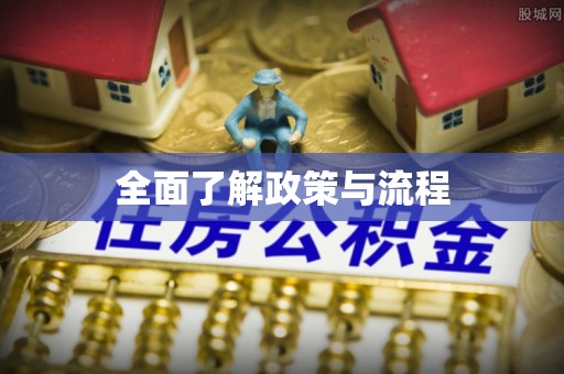 服务全面了解政策与流程