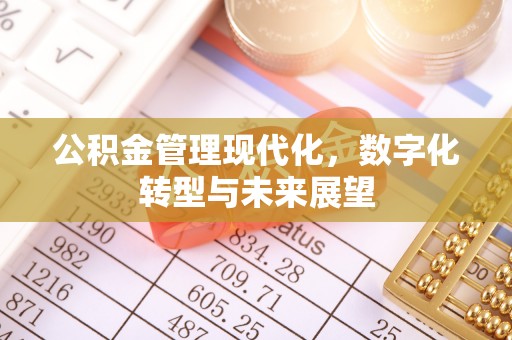 服务公积金管理现代化，数字化转型与未来展望