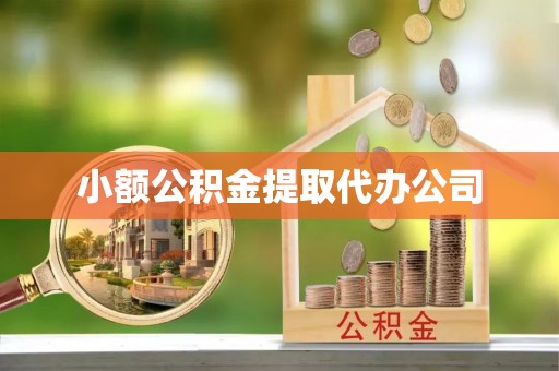 服务小额公积金提取代办公司