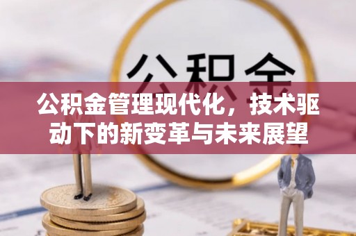 服务公积金管理现代化，技术驱动下的新变革与未来展望