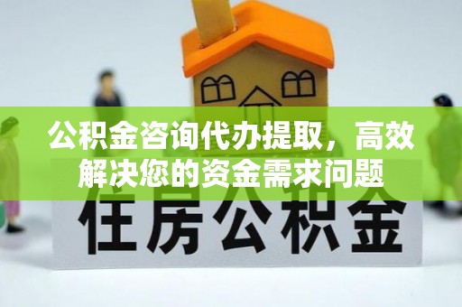 服务公积金咨询代办提取，高效解决您的资金需求问题