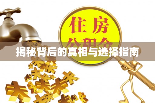 服务揭秘背后的真相与选择指南
