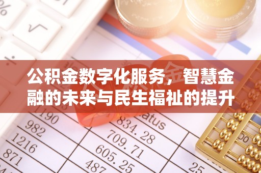 服务公积金数字化服务，智慧金融的未来与民生福祉的提升
