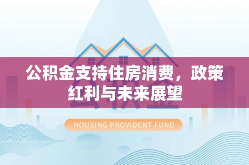 服务公积金支持住房消费，政策红利与未来展望