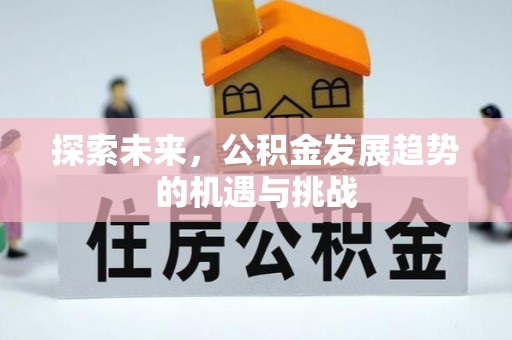 服务探索未来，公积金发展趋势的机遇与挑战
