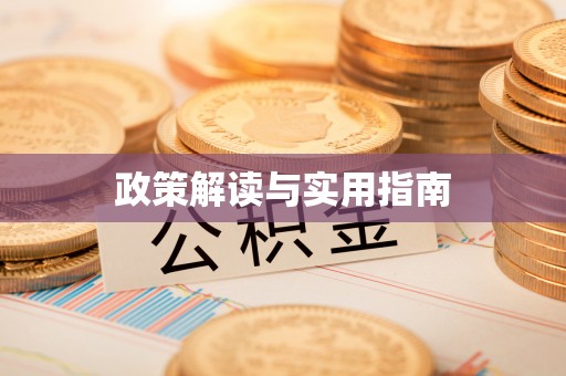 服务政策解读与实用指南