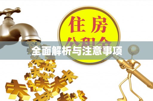 服务全面解析与注意事项