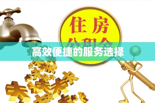 服务高效便捷的服务选择